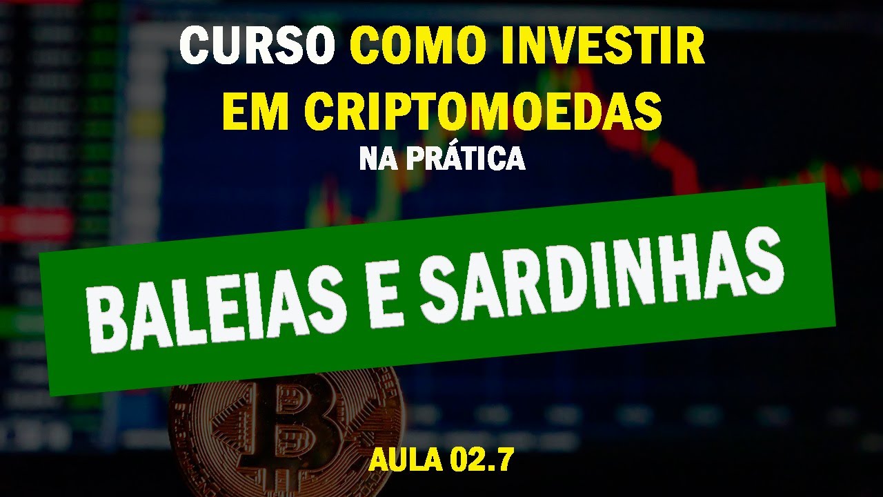 Aula 02.7 - O que são Baleias e Sardinhas no mundo das criptomoedas