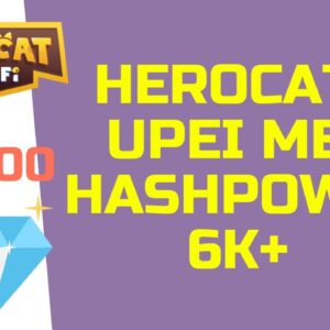 🐱 HEROCAT - 6 MIL DE HASHPOWER /  QUANTO ESTOU MINERANDO