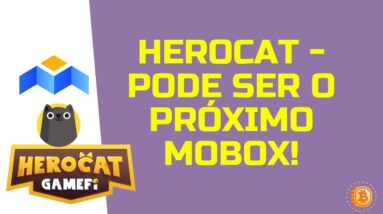 🐱  HEROCAT - ESTE PROJETO TEM TUDO PRA SER O PRÓXIMO MOBOX