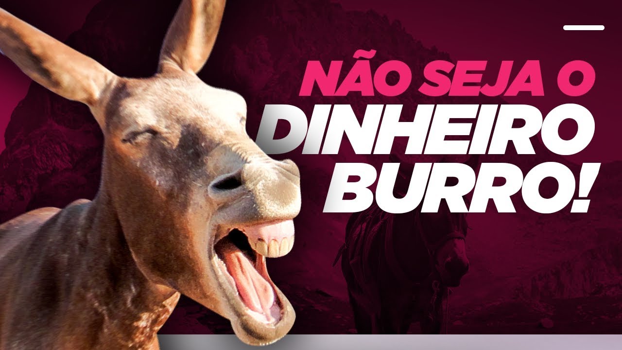 O seu dinheiro é BURRO ou INTELIGENTE?