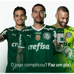 Palmeiras Pay – conta digital e cartão de crédito aprovando fácil